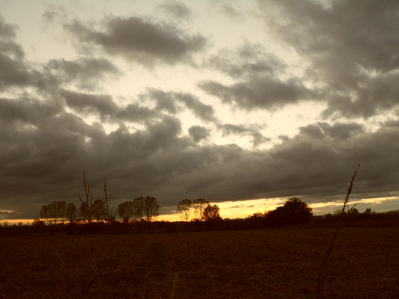 Parco del ticino 1.11.12